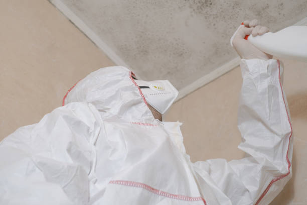 Best HVAC Mold Remediation in North Olmsted, OH