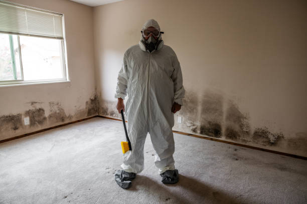 Best HVAC Mold Remediation in North Olmsted, OH